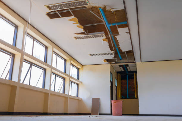 Best Sewage cleanup and water damage restoration  in Valley Cottage, NY
