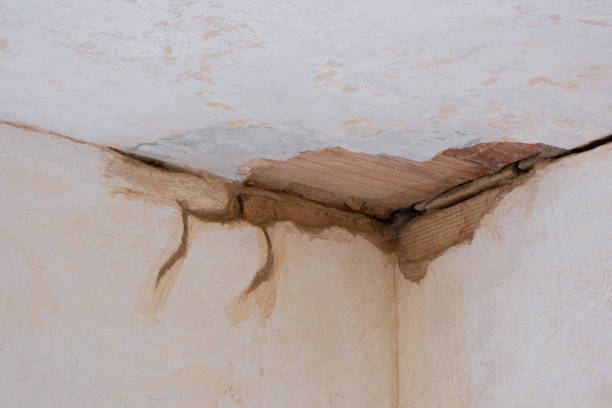  Valley Cottage, NY Water damage restoration Pros