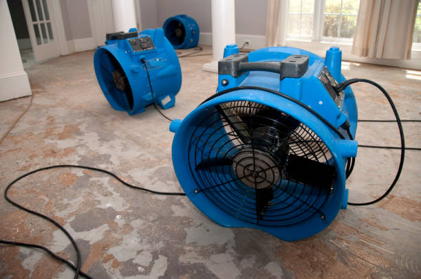 Best Basement water damage restoration  in Valley Cottage, NY