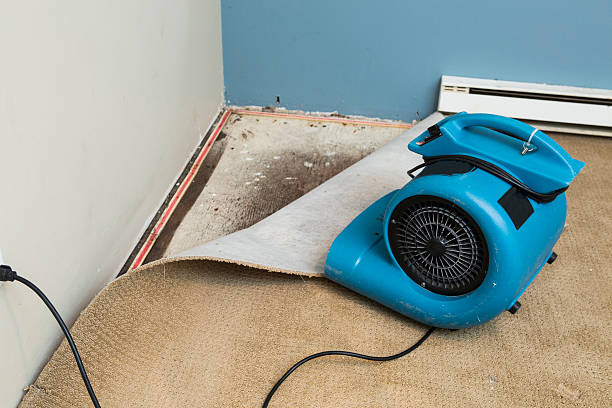 Best Water damage contractors near me  in Valley Cottage, NY